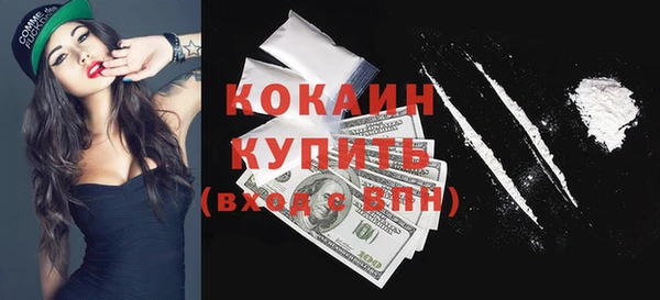 шишки Медногорск