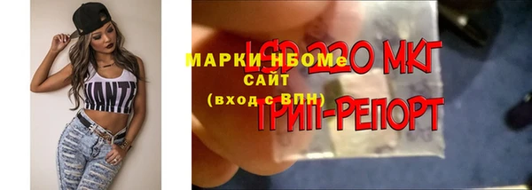 шишки Медногорск