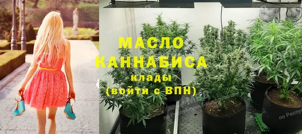 шишки Медногорск
