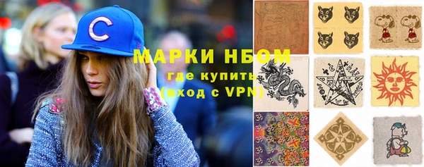 шишки Медногорск